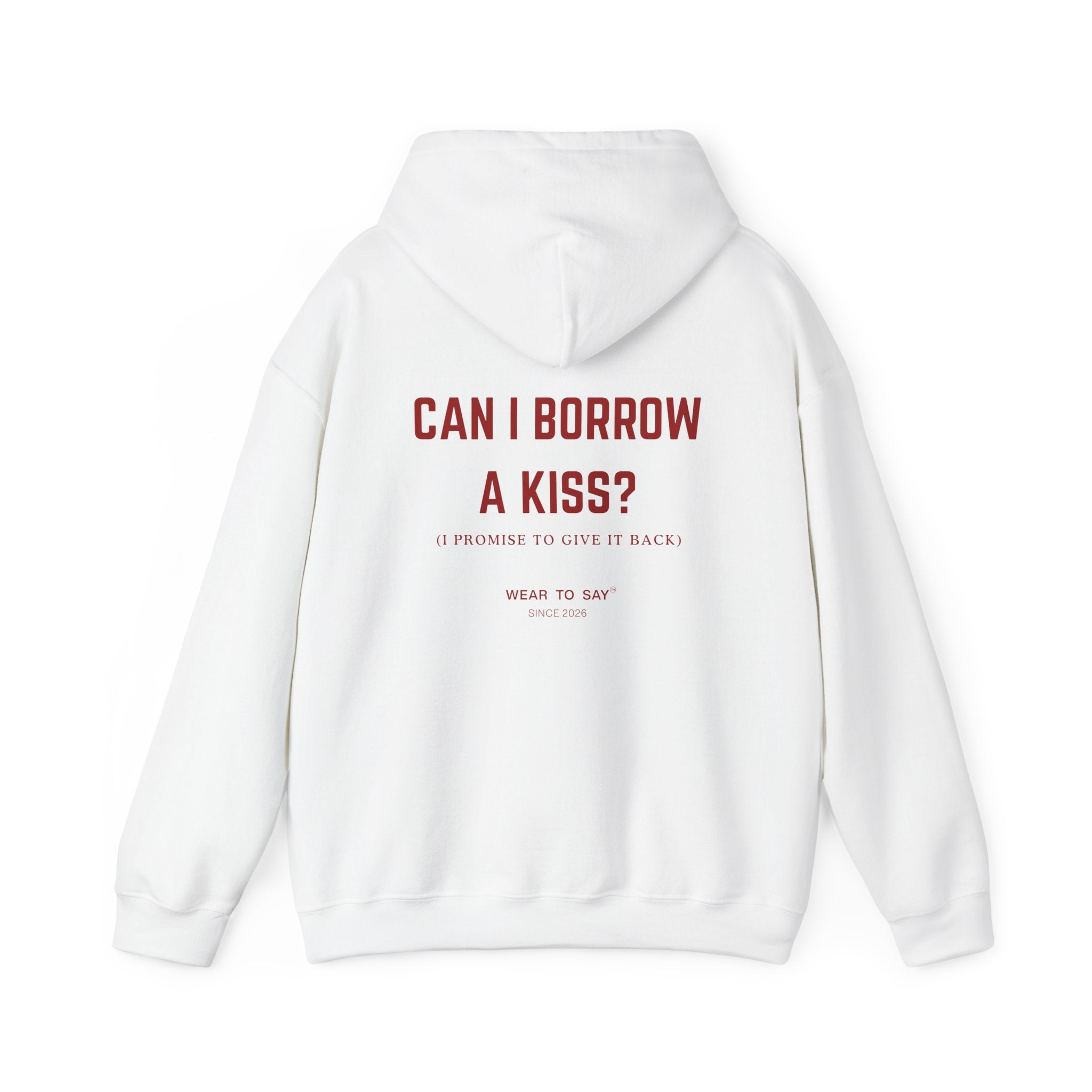 CAN I BORROW A KISS? (I PROMISE TO GIVE IT BACK) Hoodie
