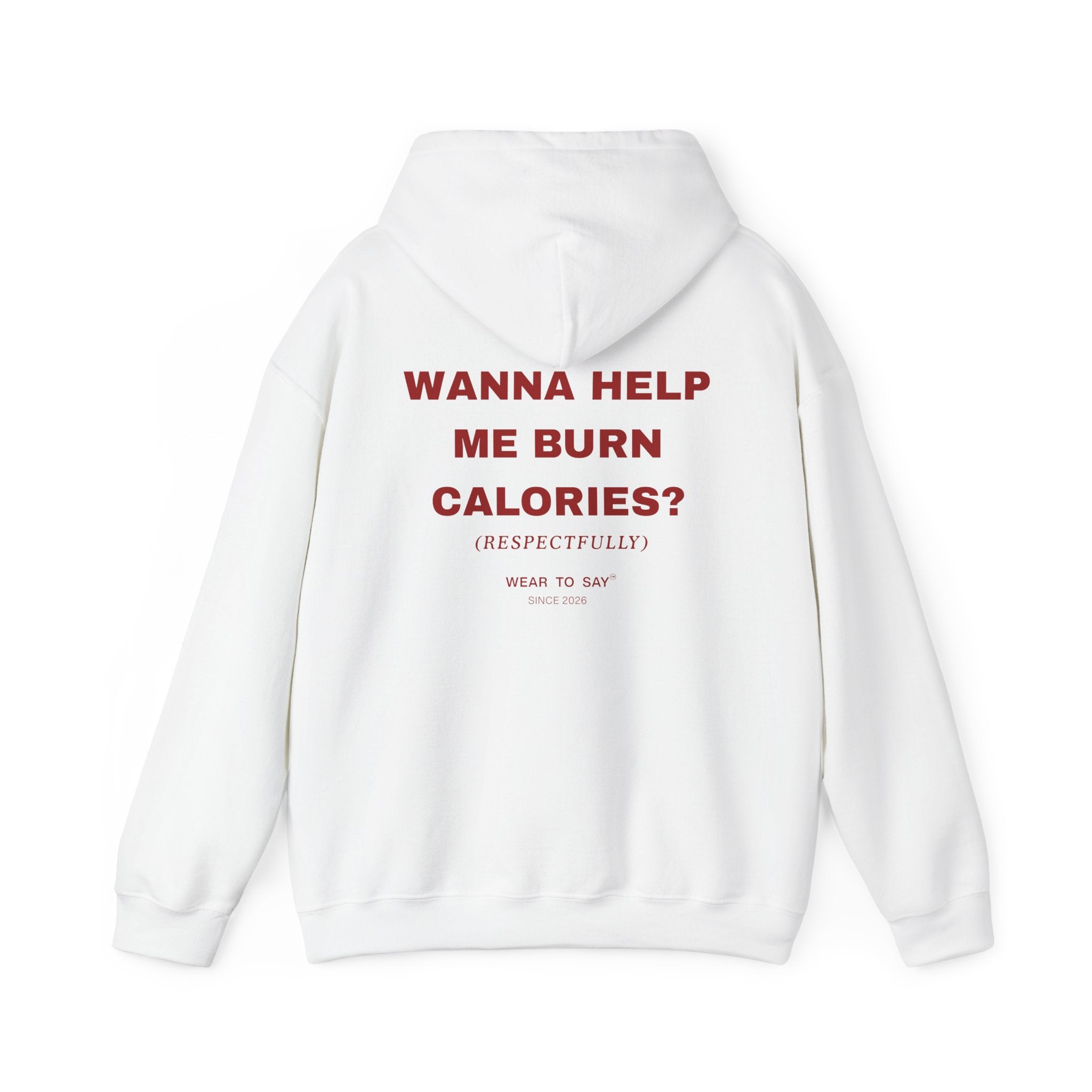 WANNA HELP ME BURN CALORIES? (RESPECTFULLY) Hoodie