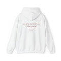 GIVE ME A CHANCE To ruin your life Hoodie