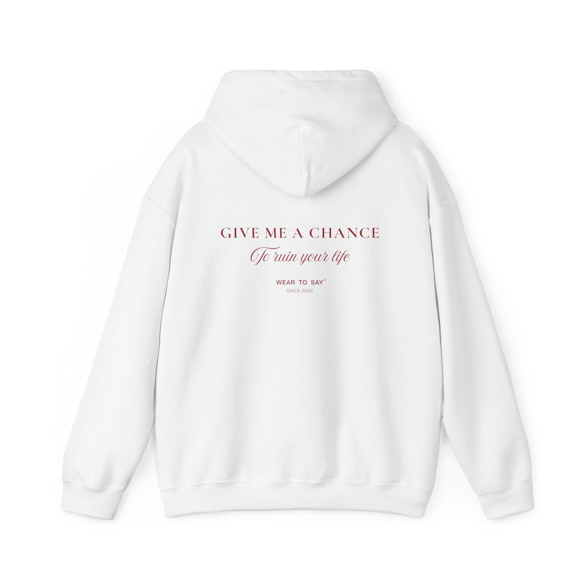 GIVE ME A CHANCE To ruin your life Hoodie